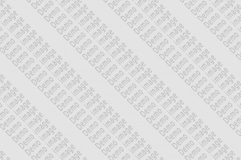 Mission sociale au sein d’une association de 45 salariés